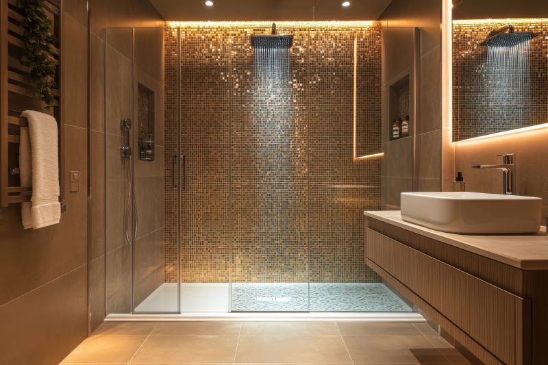 Upscale Shower Area